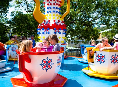 Cup & Saucer